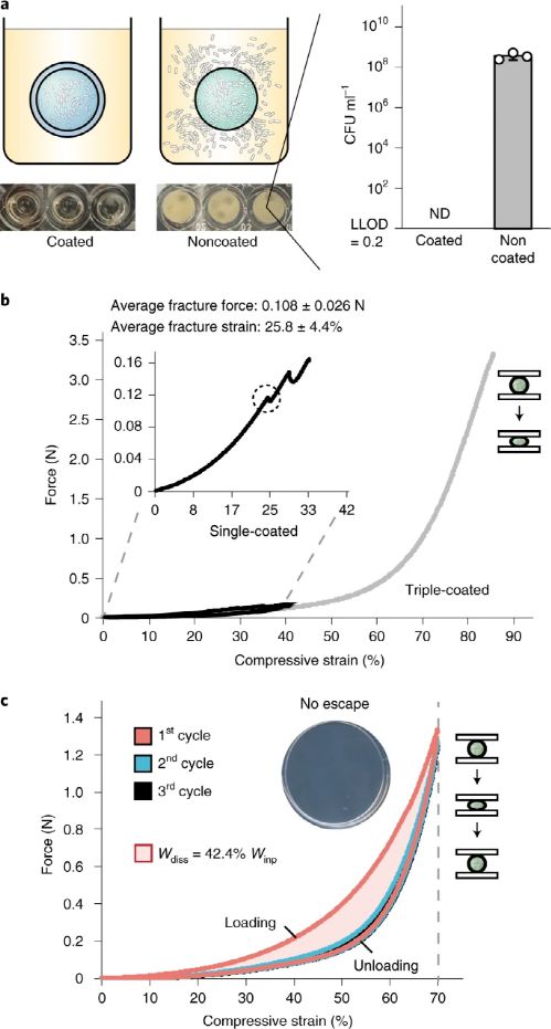 麻省理工學(xué)院趙選賀Nature子刊 基于細菌的水凝膠生物容器,可進行連續(xù)感測和計算